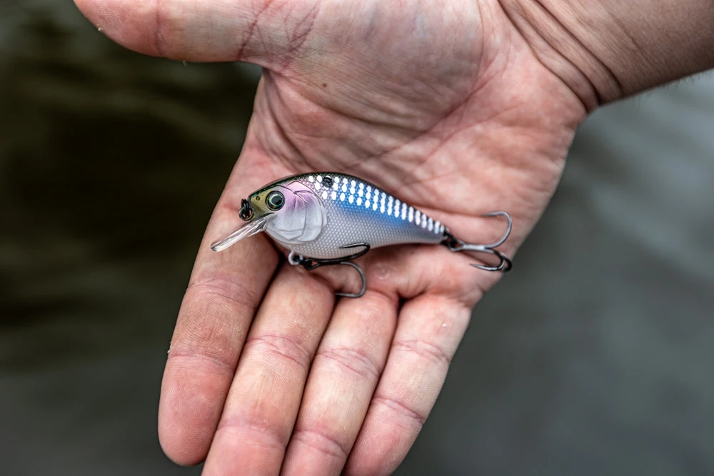 6th Sense Fishing Deals Crush - Shad Scales 4 6th Sense Fishing Deals Crush - Shad Scales