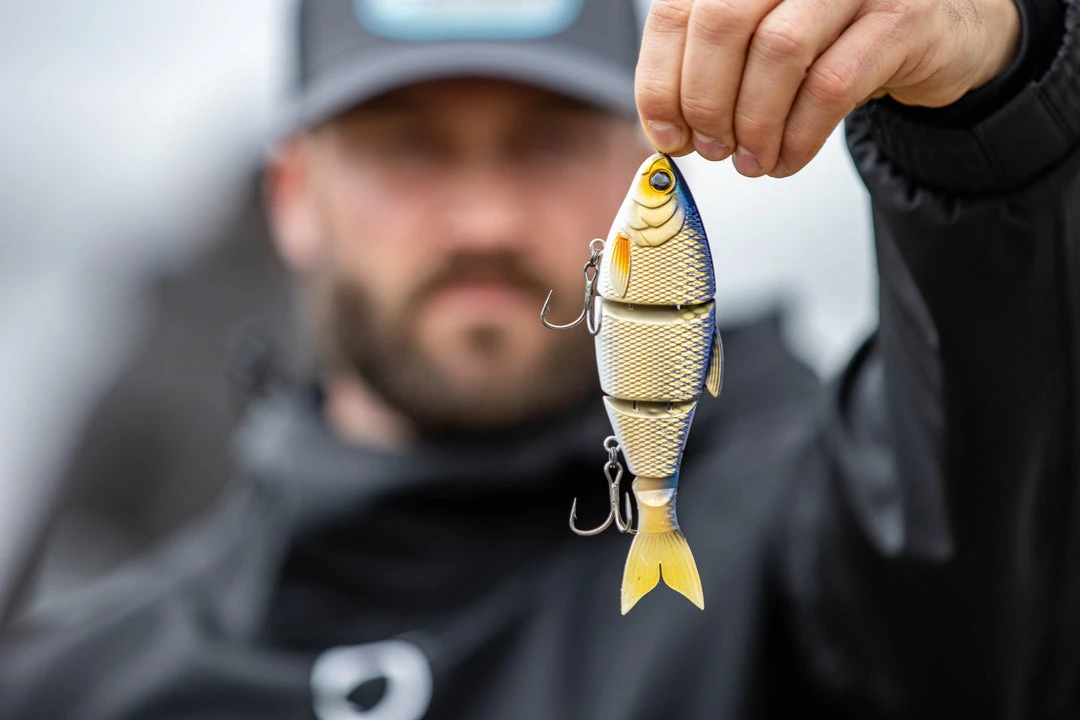 6th Sense Fishing Deals Trace - Live Shiner 4 6th Sense Fishing Deals Trace - Live Shiner