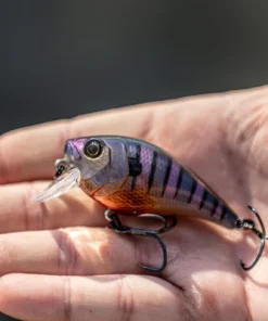 6th Sense Fishing Munch - Bluegill Spawn Collections