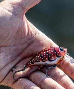 6th Sense Fishing Munch - Crimson Craw