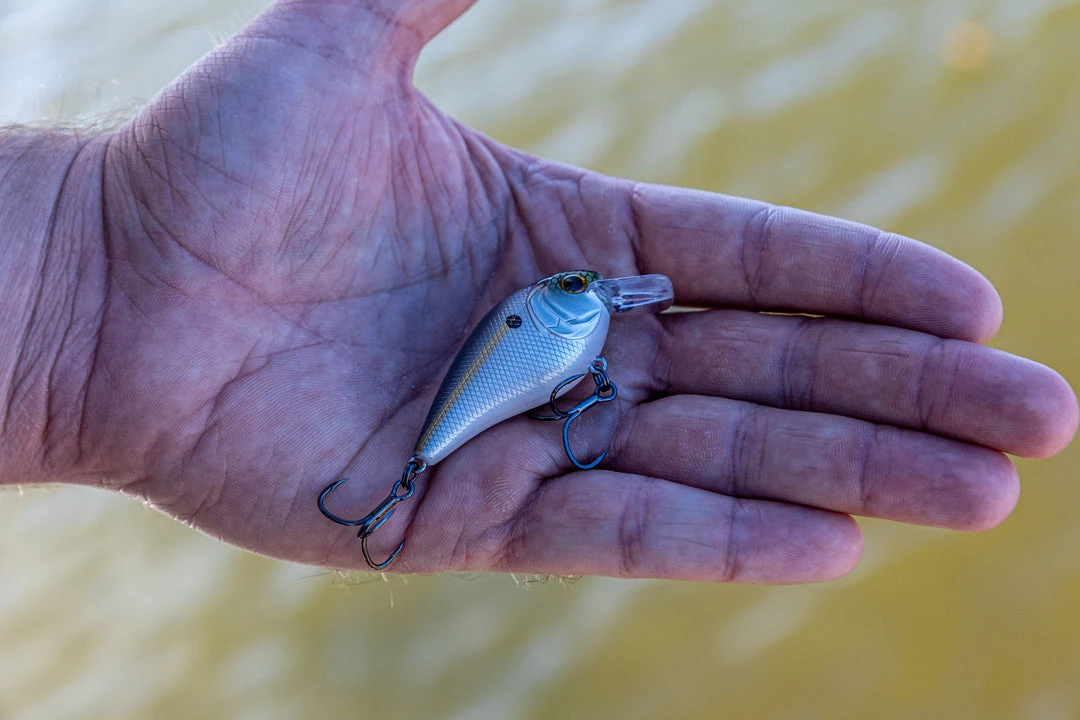 6th Sense Fishing Crush Mini 25X - Threadfin Shad Sale 4 6th Sense Fishing Crush Mini 25X - Threadfin Shad Sale