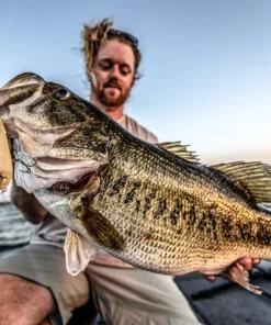 6th Sense Fishing CatWalk - Spanish Bone