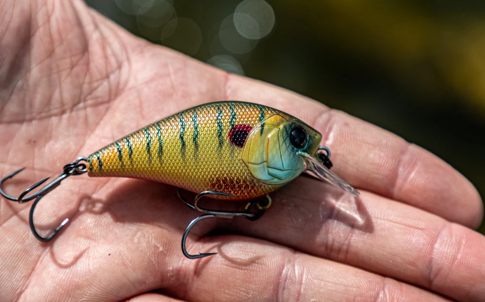 6th Sense Fishing Deals Crush - Spring Bluegill 4 6th Sense Fishing Deals Crush - Spring Bluegill