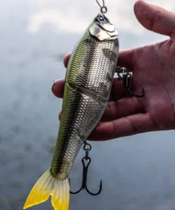 6th Sense Fishing Lee Livesay Collection The Draw - Shad Burst