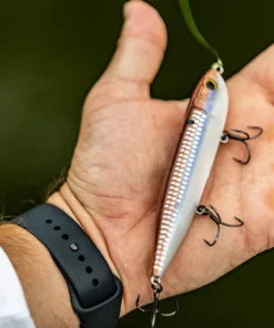 6th Sense Fishing Deals CatWalk - 4K Gizzard