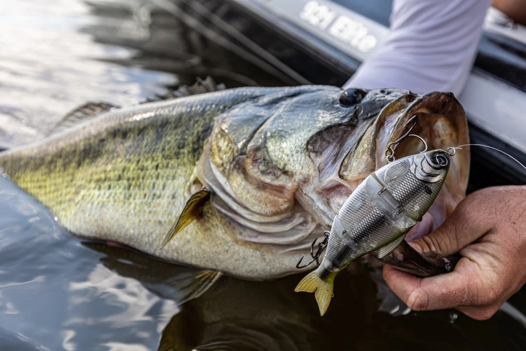 6th Sense Fishing Trace - Shad Burst 4 6th Sense Fishing Trace - Shad Burst