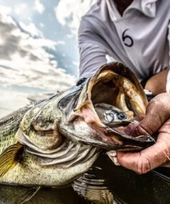 6th Sense Fishing Trace - Shad Burst 13 6th Sense Fishing Trace - Shad Burst