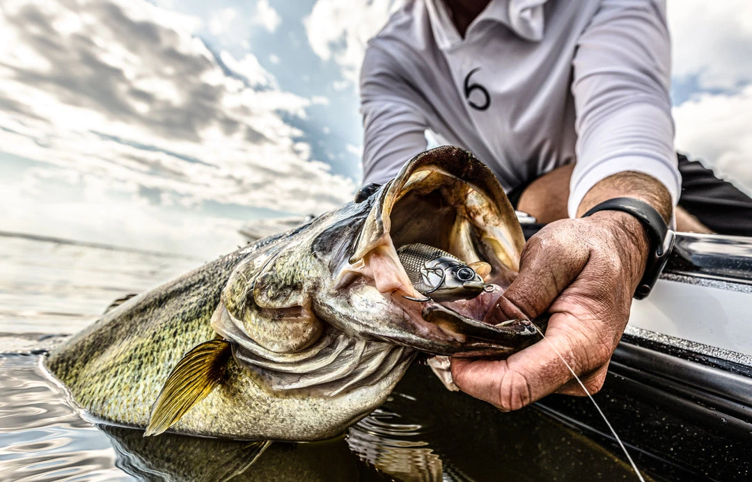 6th Sense Fishing Trace - Shad Burst 7 6th Sense Fishing Trace - Shad Burst