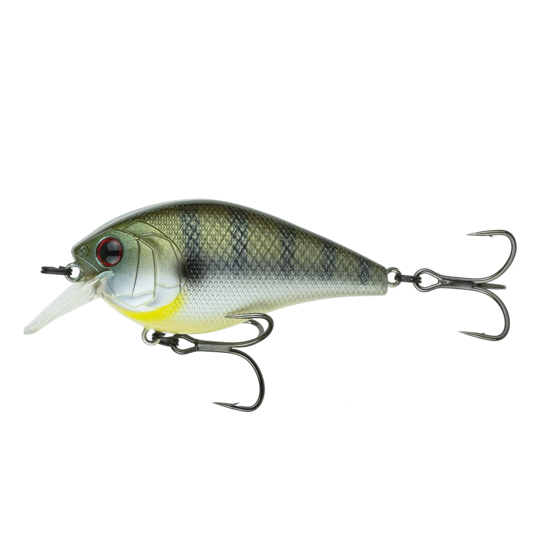 6th Sense Fishing Sale Crush - Tilapia 3 6th Sense Fishing Sale Crush - Tilapia