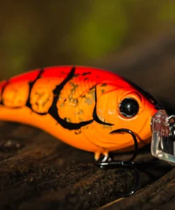 6th Sense Fishing Swank 77X - Boiled Crawfish Boiled Crawfish Collection