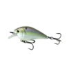 6thSenseFishing Deals Crush - Wild Shad 1 6thSenseFishing Deals Crush - Wild Shad