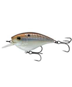 6th Sense Fishing Sale Crush Flat 75X - 4K Gizzard