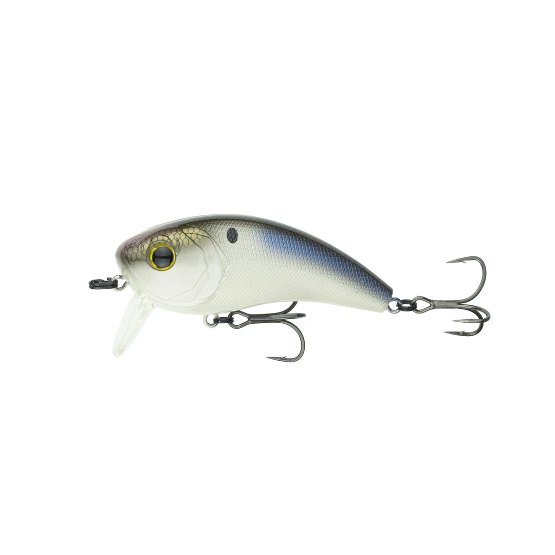 6th Sense Fishing Movement 80WK - 4K Shad Collections 3 6th Sense Fishing Movement 80WK - 4K Shad Collections