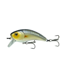 6th Sense Fishing Movement 80X - Live Shiner Sale