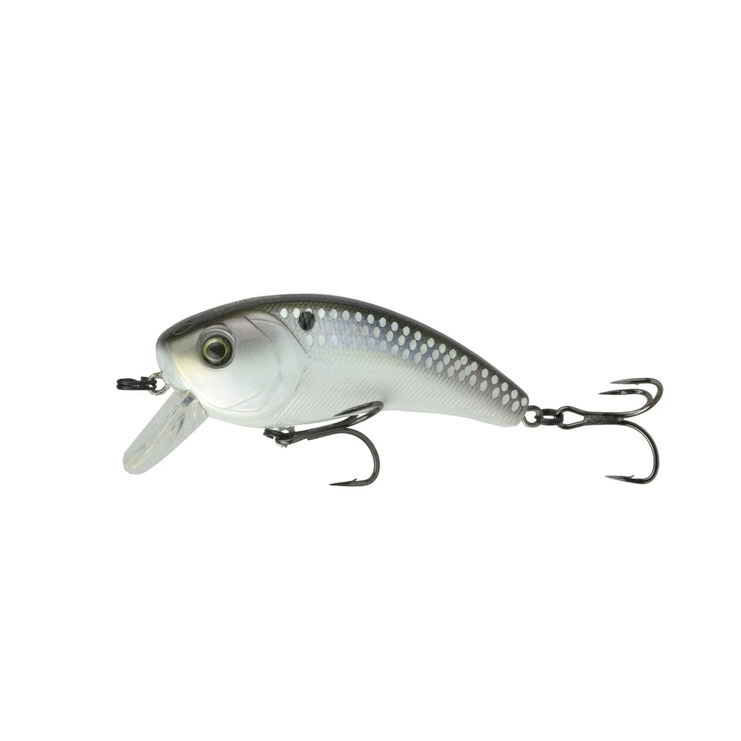 6th Sense Fishing Deals Movement 80X - Shad Scales 3 6th Sense Fishing Deals Movement 80X - Shad Scales