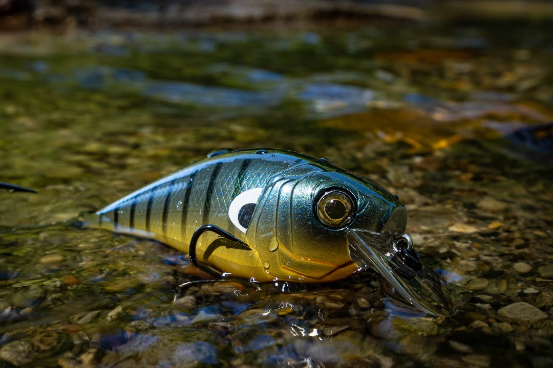 6th Sense Fishing MiniMag SB - Backwater Bluegill Sale 4 6th Sense Fishing MiniMag SB - Backwater Bluegill Sale