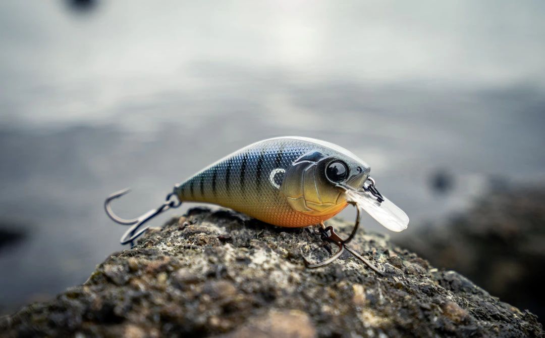 6th Sense Fishing Crush - Backwater Bluegill Sale 4 6th Sense Fishing Crush - Backwater Bluegill Sale