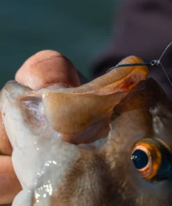 6th Sense Fishing Drop Shot Hook