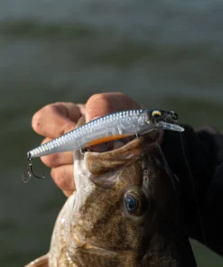 6th Sense Fishing Deals Provoke 106X - Sensory Shad