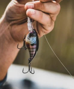 6th Sense Fishing Curve 55 - Bluegill Spawn 11 6th Sense Fishing Curve 55 - Bluegill Spawn