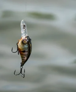 6th Sense Fishing Curve 55 - Bluegill Spawn 9 6th Sense Fishing Curve 55 - Bluegill Spawn