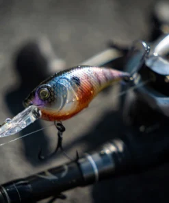 6th Sense Fishing Curve 55 - Bluegill Spawn 10 6th Sense Fishing Curve 55 - Bluegill Spawn