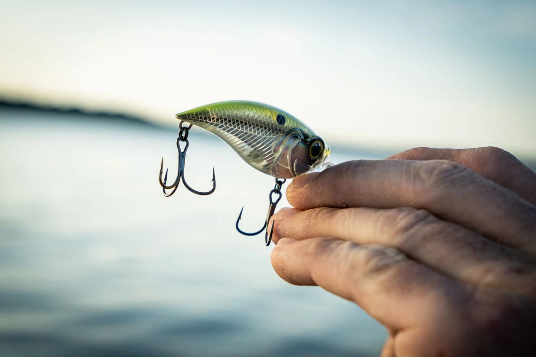 6th Sense Fishing Deals Curve 55 - Shad Burst 4 6th Sense Fishing Deals Curve 55 - Shad Burst