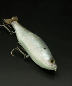 6th Sense Fishing The Draw - Live Ghost Threadfin