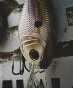 6th Sense Fishing Cloud 9 - Gizzard Shad