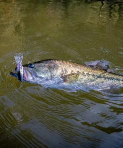 6th Sense Fishing Cloud 9 - 4K Shad