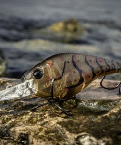 6th Sense Fishing Cloud 9 - Ghost Melon Crawfish Sale