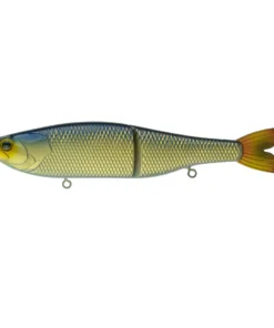 6th Sense Fishing The Draw - Live Shiner