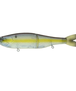 6th Sense Fishing The Draw - Shad Sense Lee Livesay Collection