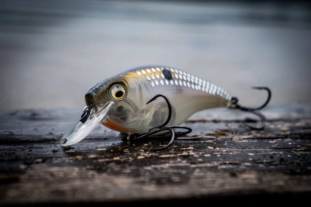 6th Sense Fishing MiniMag SB - Ghost Shad Scales Deals 5 6th Sense Fishing MiniMag SB - Ghost Shad Scales Deals