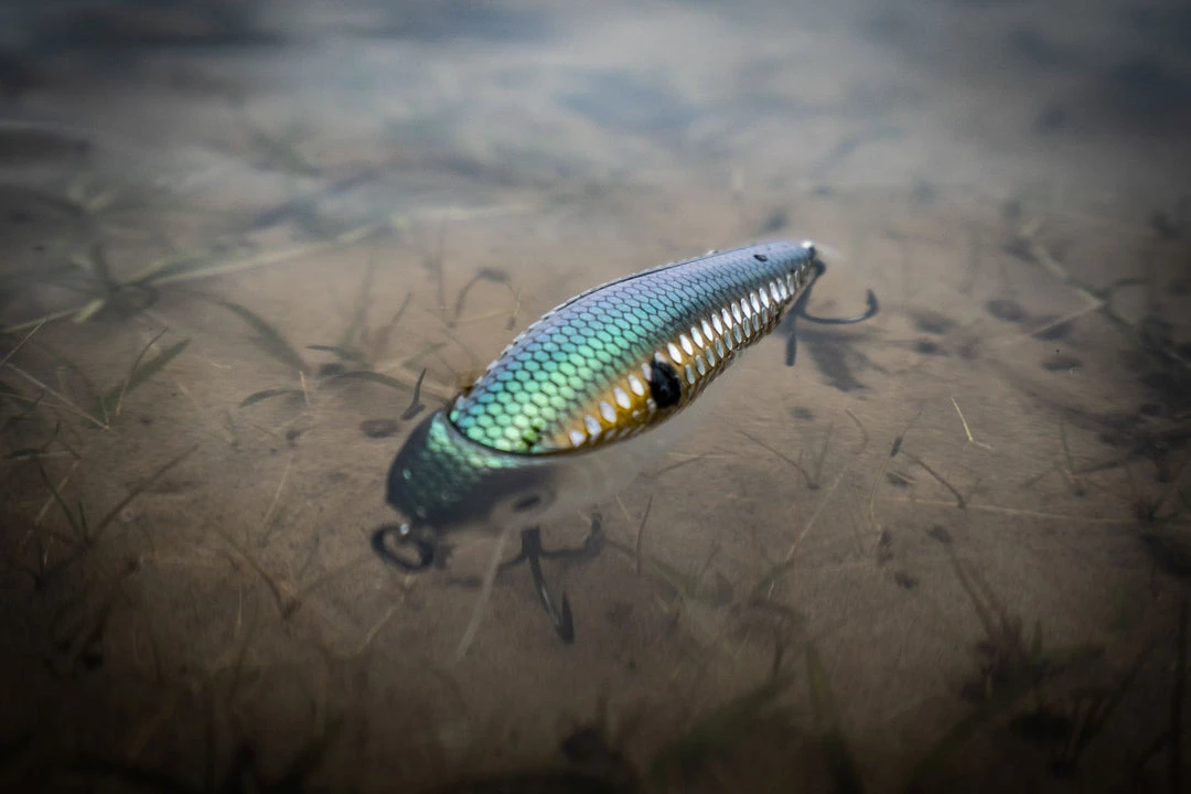 6th Sense Fishing MiniMag SB - Ghost Shad Scales Deals 6 6th Sense Fishing MiniMag SB - Ghost Shad Scales Deals