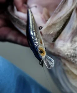 6th Sense Fishing Provoke 106X - Live Shiner 9 6th Sense Fishing Provoke 106X - Live Shiner