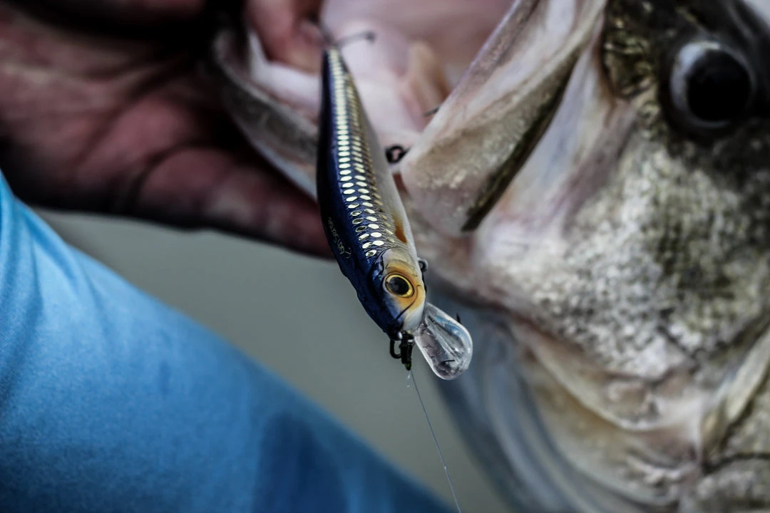 6th Sense Fishing Provoke 106X - Live Shiner 6 6th Sense Fishing Provoke 106X - Live Shiner