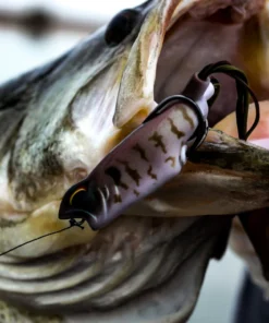 6th Sense Fishing Vega Frog - GOAT