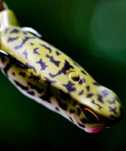 6th Sense Fishing Vega Frog - Baby Bullfrog