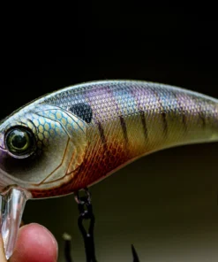 6th Sense Fishing Deals Movement 80X - Bluegill Spawn