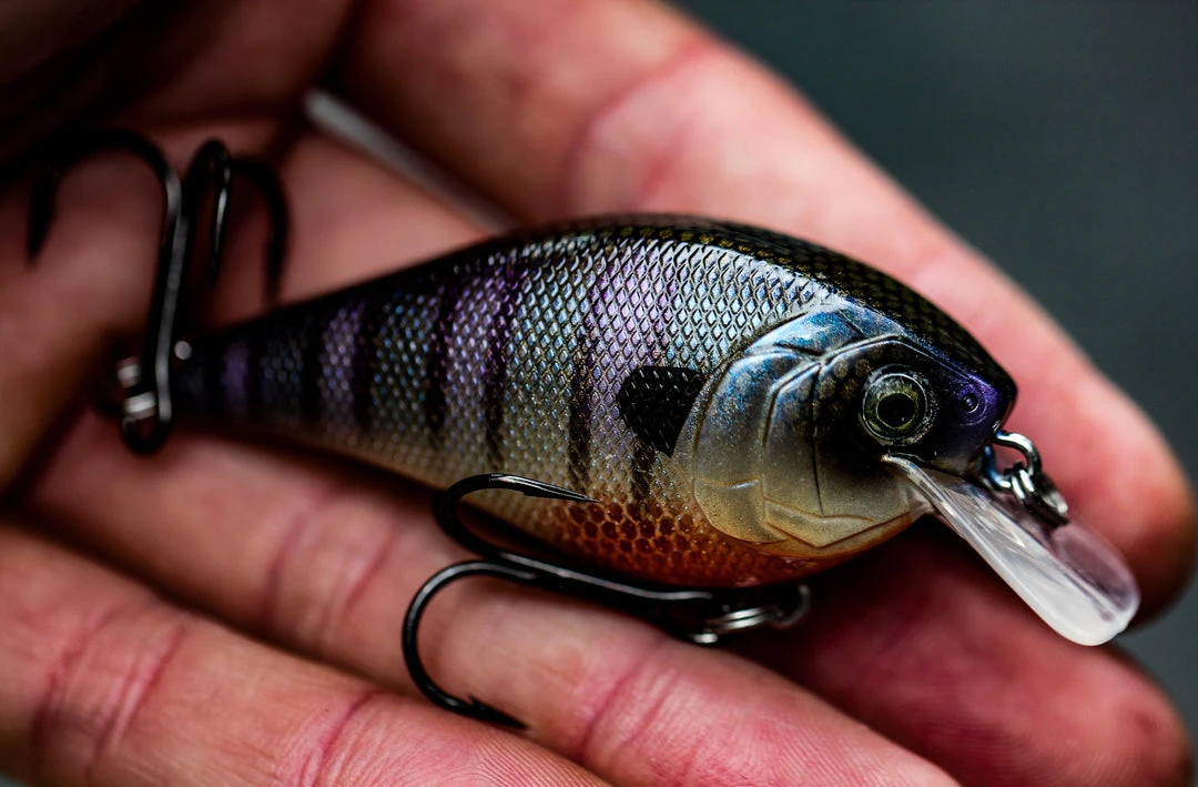 6th Sense Fishing Crush (Silent) - Bluegill Spawn Sale 4 6th Sense Fishing Crush (Silent) - Bluegill Spawn Sale