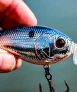 6th Sense Fishing Sale Swank 77X - Chrome Bacon