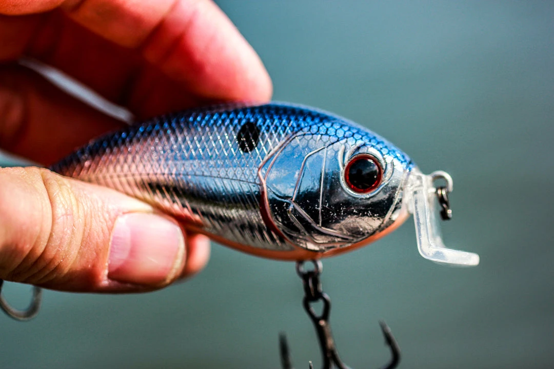 6th Sense Fishing Sale Swank 77X - Chrome Bacon 4 6th Sense Fishing Sale Swank 77X - Chrome Bacon