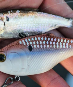 6th Sense Fishing Sale Quake - 4K Gizzard 8 6th Sense Fishing Sale Quake - 4K Gizzard