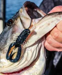 6th Sense Fishing Soft Plastics Stroker Craw - Black N Blue Flake 9 6th Sense Fishing Soft Plastics Stroker Craw - Black N Blue Flake