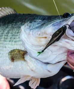 6th Sense Fishing Flush 5.2 - Bluegill Magic 11 6th Sense Fishing Flush 5.2 - Bluegill Magic