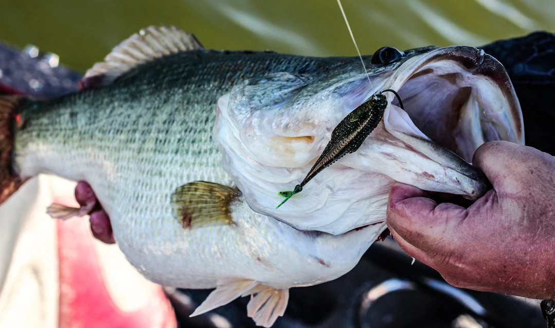 6th Sense Fishing Flush 5.2 - Bluegill Magic 7 6th Sense Fishing Flush 5.2 - Bluegill Magic