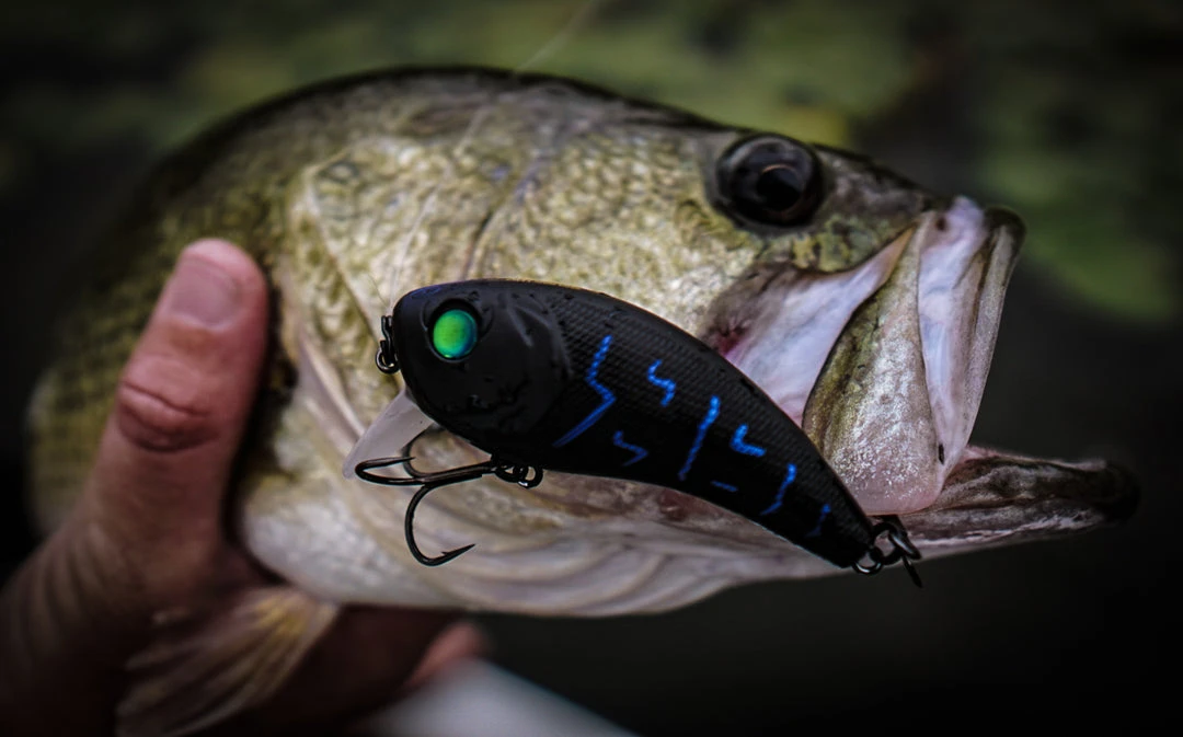 6th Sense Fishing Movement 80WK - Black Magic 4 6th Sense Fishing Movement 80WK - Black Magic