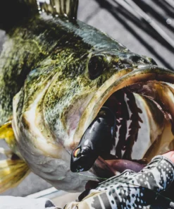 6th Sense Fishing Vega Frog - Black