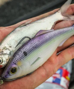 6th Sense Fishing Sweep - Wild Shad